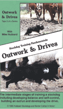 Stockdog Training Fundamentals – Outwork and Drives with Mike Hubbard