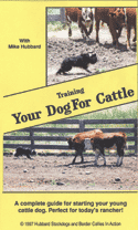 Training Your Dog for Cattle