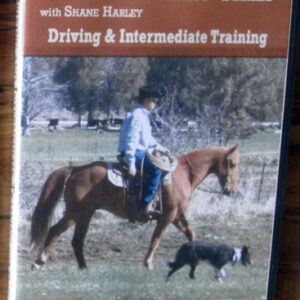 Driving and Intermediate Training