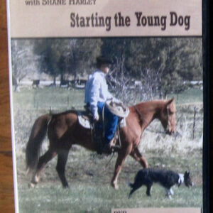 Harley Young Dog DVD